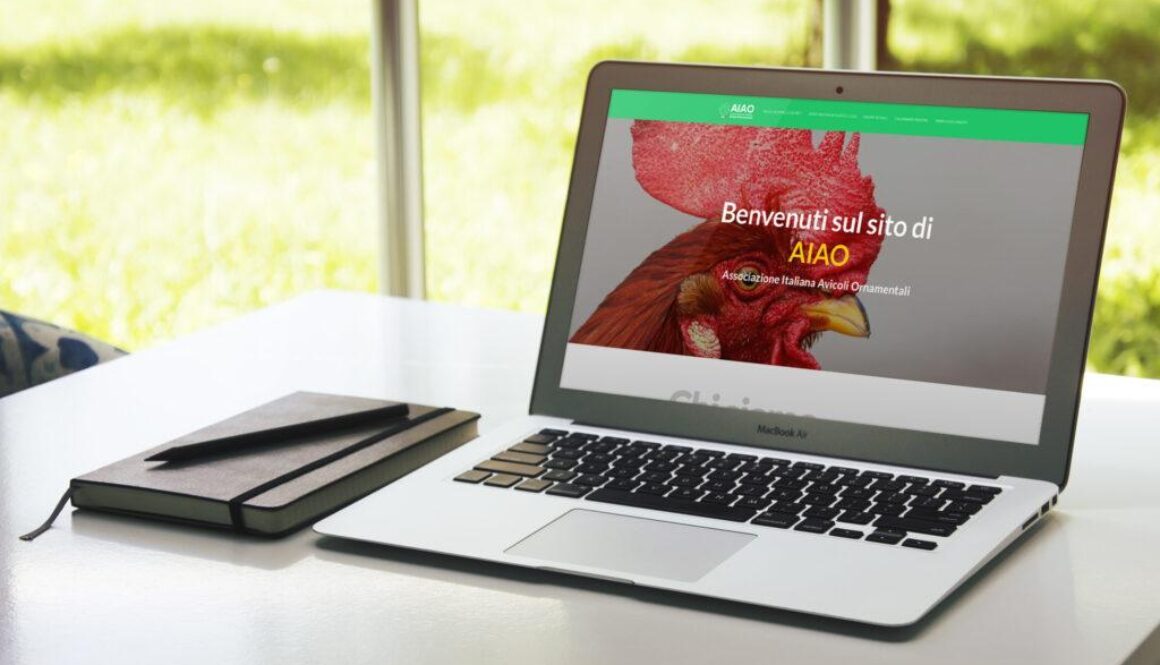 Grafica, Social & Soluzioni Web