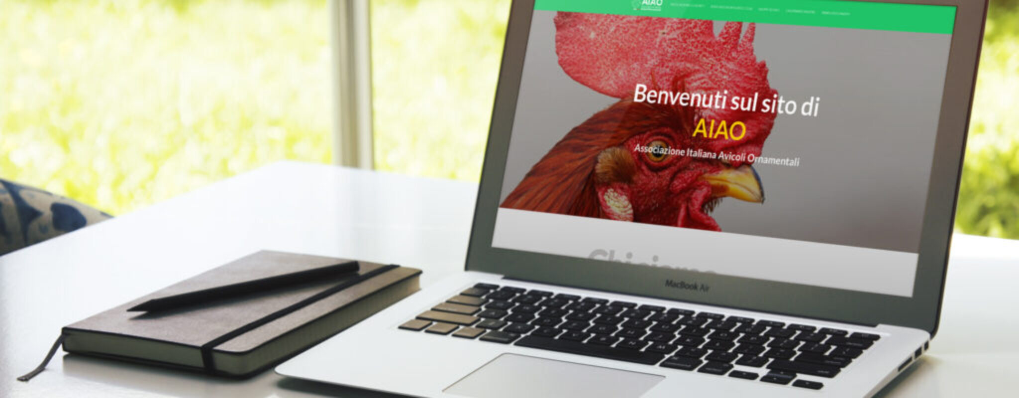 Grafica, Social & Soluzioni Web